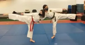 Karate Review